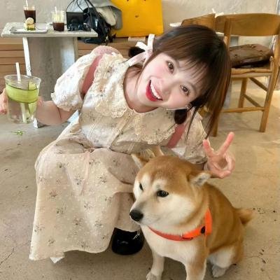 太阳底下三段情