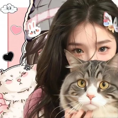 熊猫计划