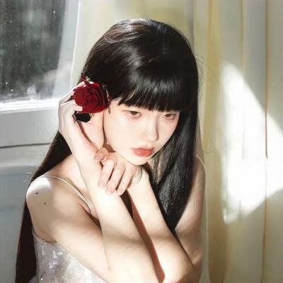 小屁孩日记2