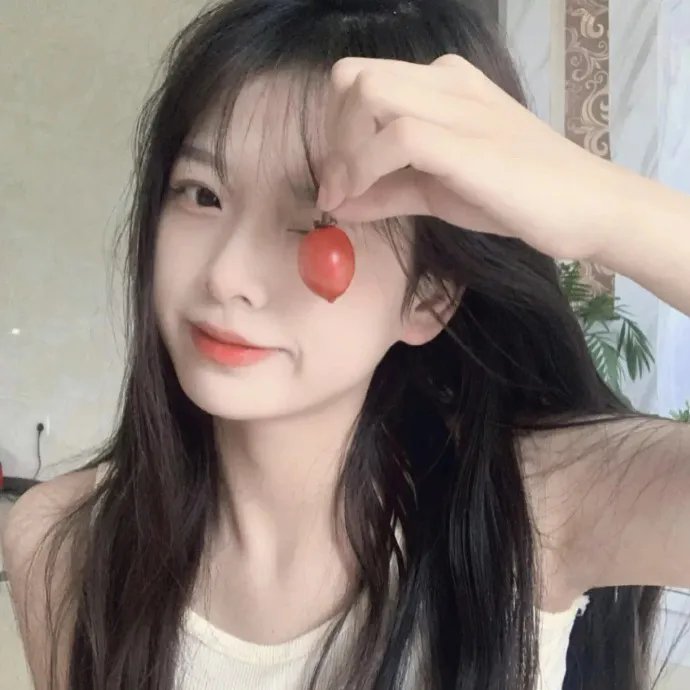 石纪元第四季